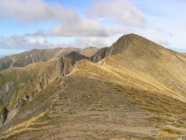Ruahine - Sunrise Hut 069.jpg